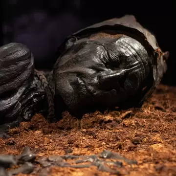 Tollund Man, naturally mummified corpse of a man who lived during the 5th century BC and found in 1950 by Bolling So lake. Museum Silkeborg, Denmark.