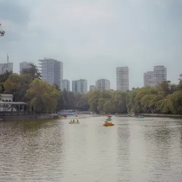 Pedal boats on a calm park lake lined with trees, with modern apartment towers behind under a hazy sky.