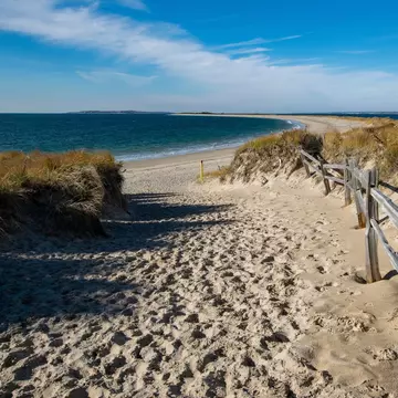 A sandy path between dunes to a beach.