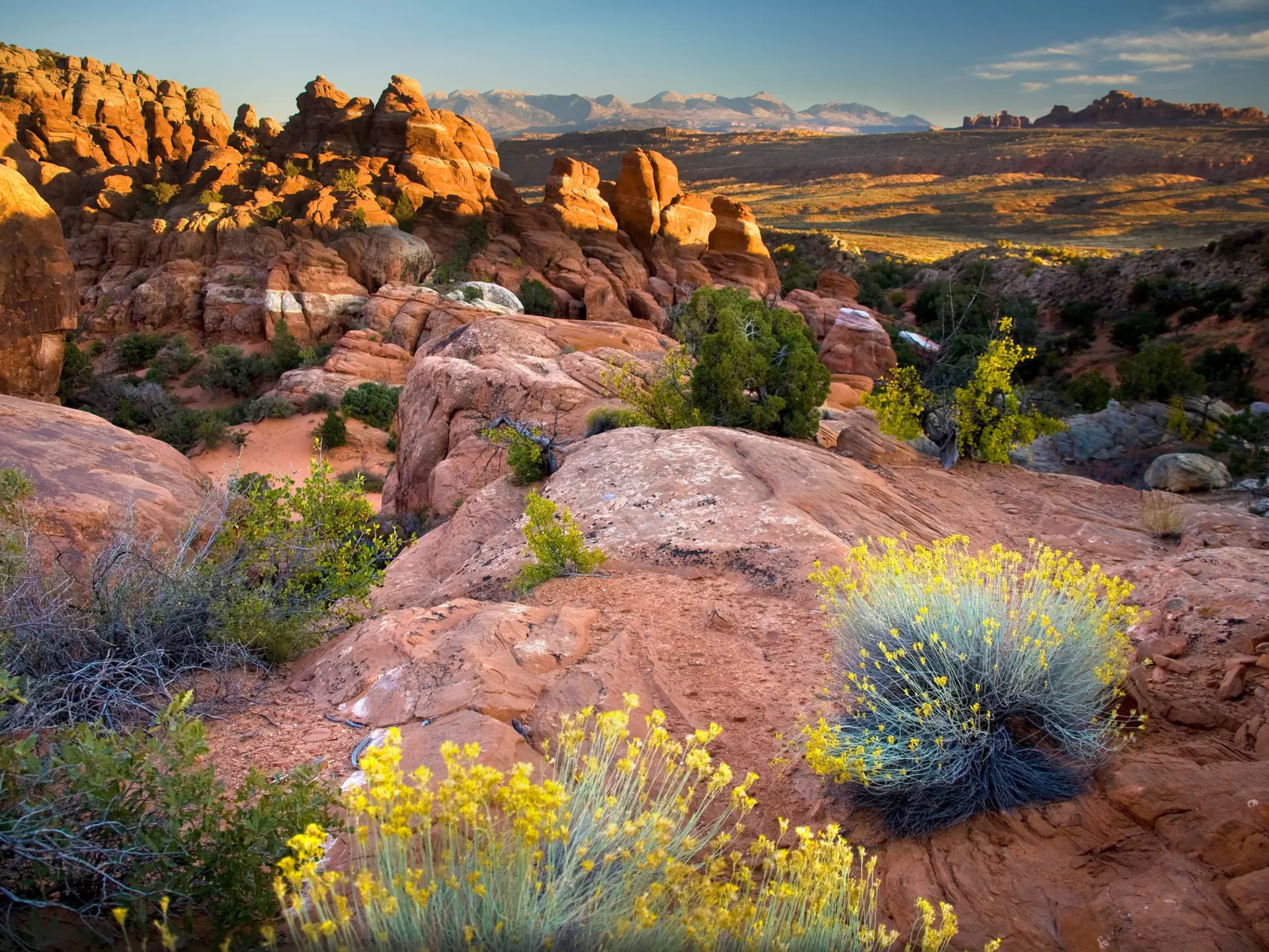 ARCHES NATIONAL PARK
arches, arches national park, arrid, clouds, courthouse, desert, fiery furnace, formations, furnace, kunasz, moab, monument, panorama, panoramic, photo, rock, sand, scenic, sky, stone, towers, utah, west, western