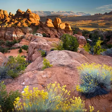 ARCHES NATIONAL PARK
arches, arches national park, arrid, clouds, courthouse, desert, fiery furnace, formations, furnace, kunasz, moab, monument, panorama, panoramic, photo, rock, sand, scenic, sky, stone, towers, utah, west, western
