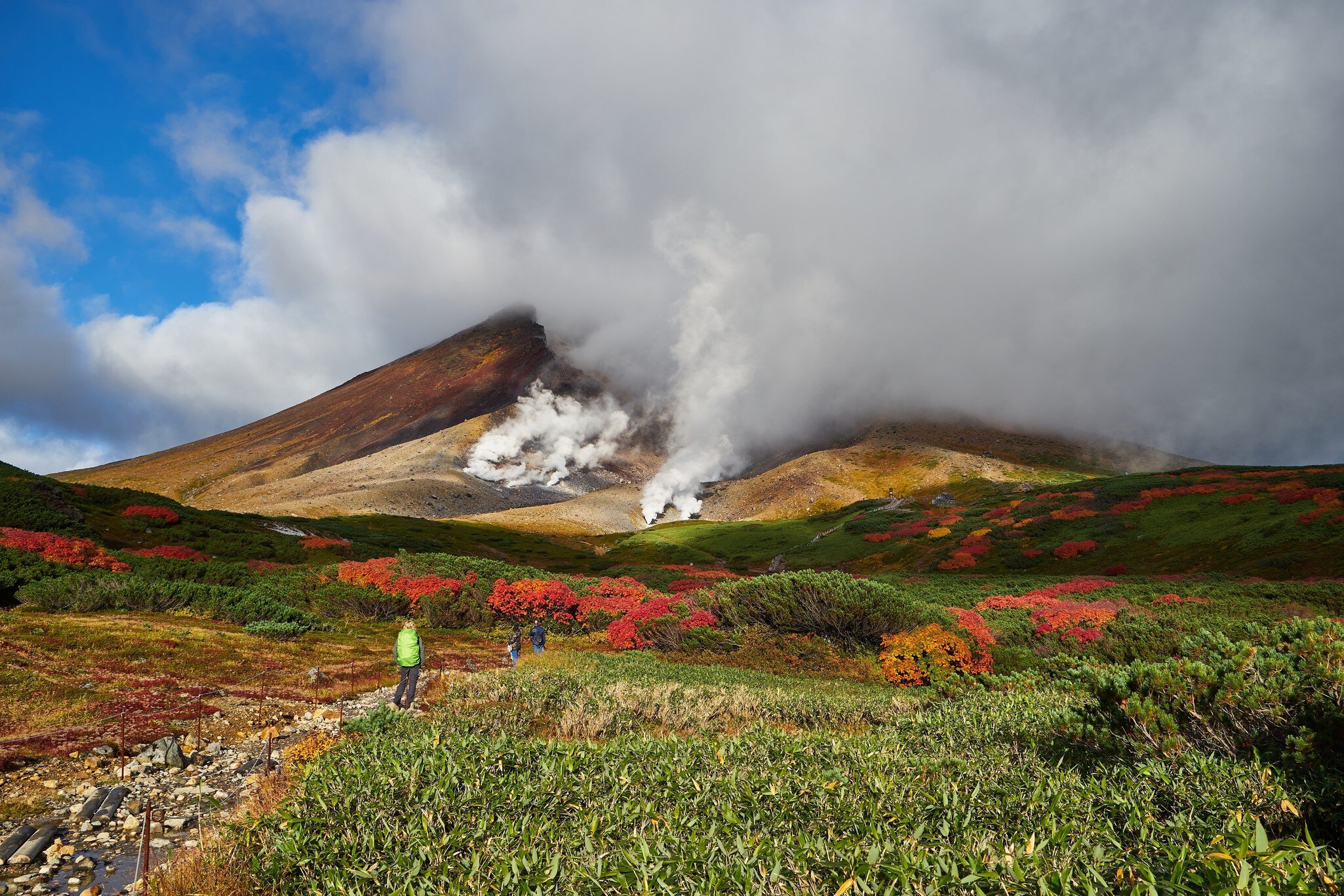 A hiker on a path in a meadow leading to a mountain shrouded in steam from vents in the earth.