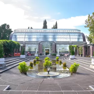 The Winter Garden at the Auckland Domain, with a pond at the centre, is a treasure of great historic interest.