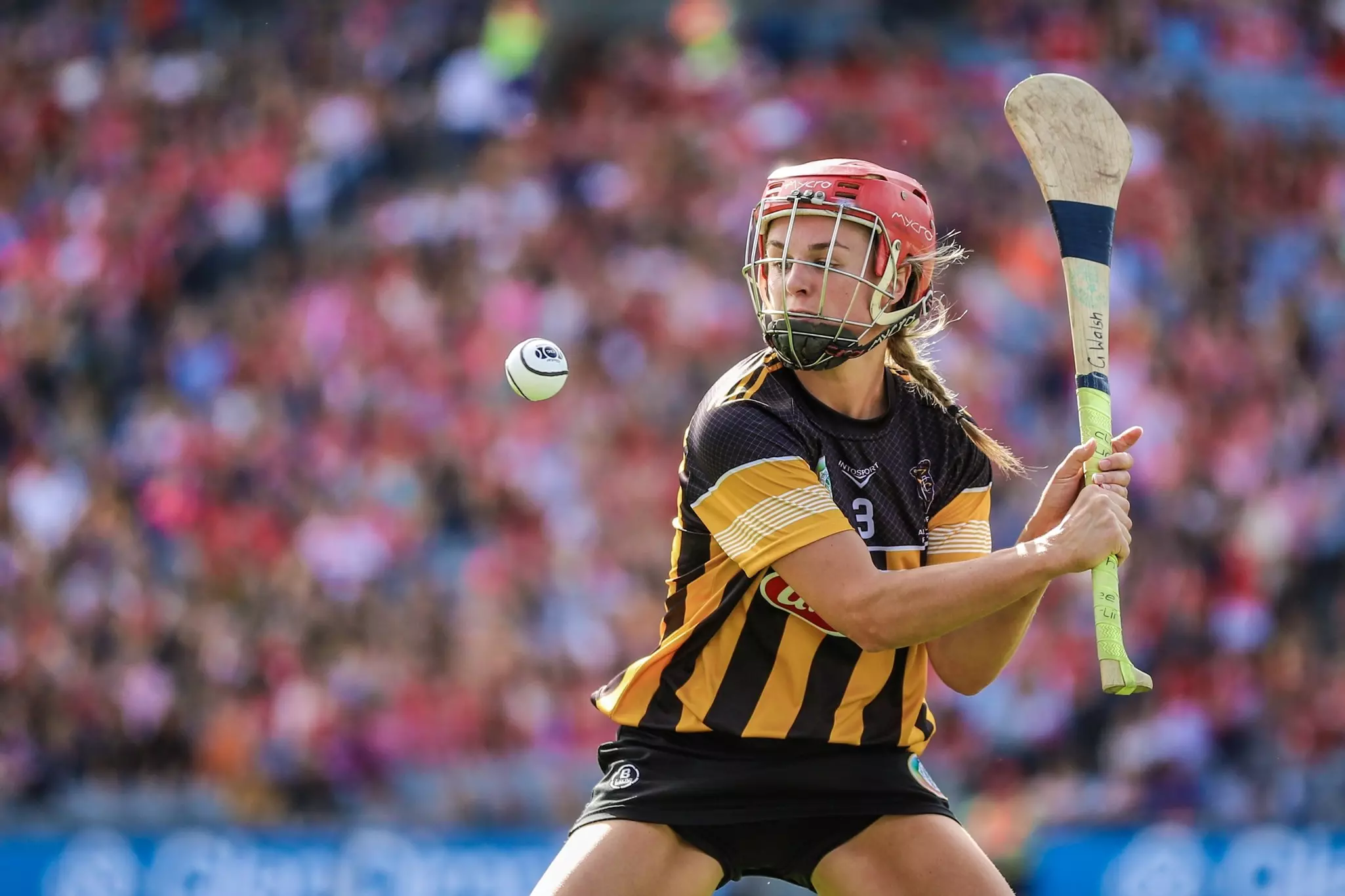 Women's hurling, camogie, also has an All-Ireland Final © Shutterstock / D. Ribeiro