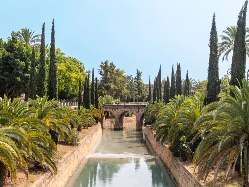 A serene canal lined with palm trees and cypress leading to a stone bridge 