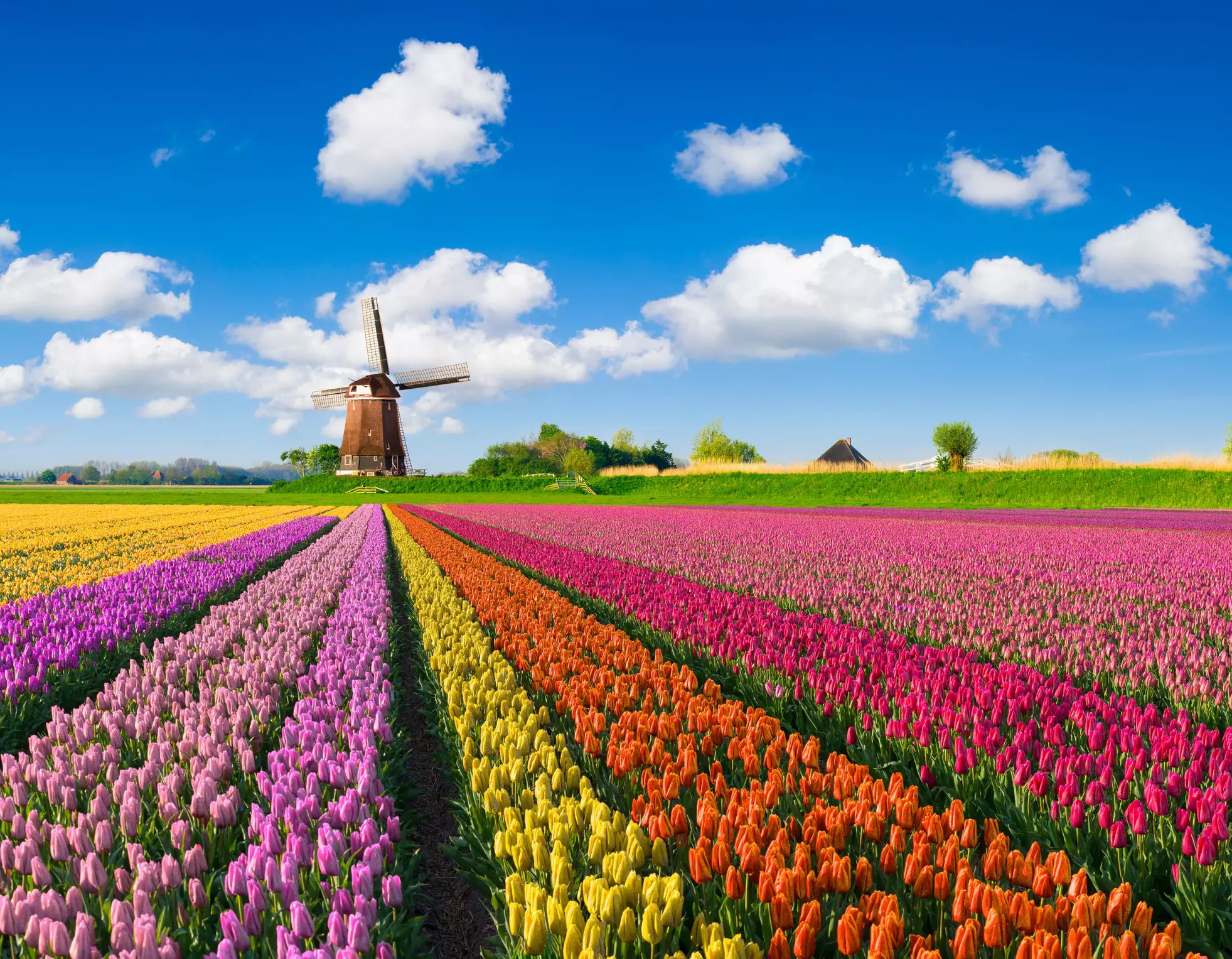 Make your money stretch further in the Netherlands with these budget tips © JacobH / Getty Images
