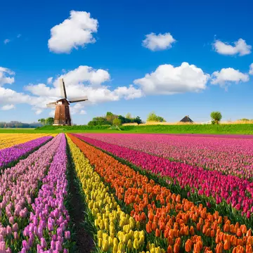 Make your money stretch further in the Netherlands with these budget tips © JacobH / Getty Images

