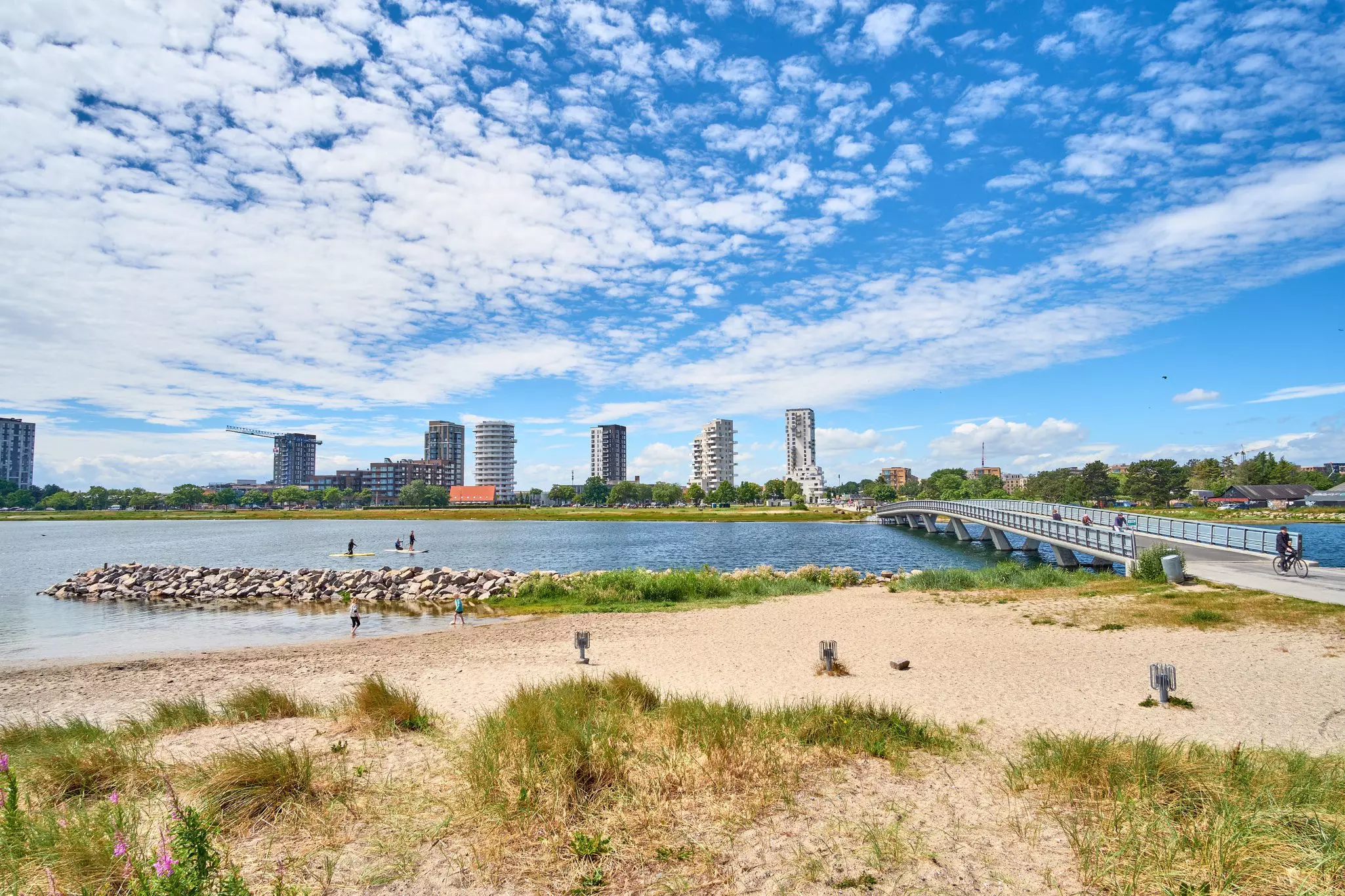 Sand dunes at Amager Strand in Copenhagen, Denmark, with buildings rising behind. 
