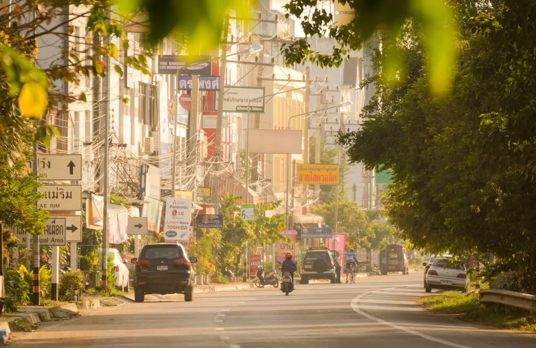 Cars and a motorcycle drive down a peaceful street lined with signs and bathed in sunlight