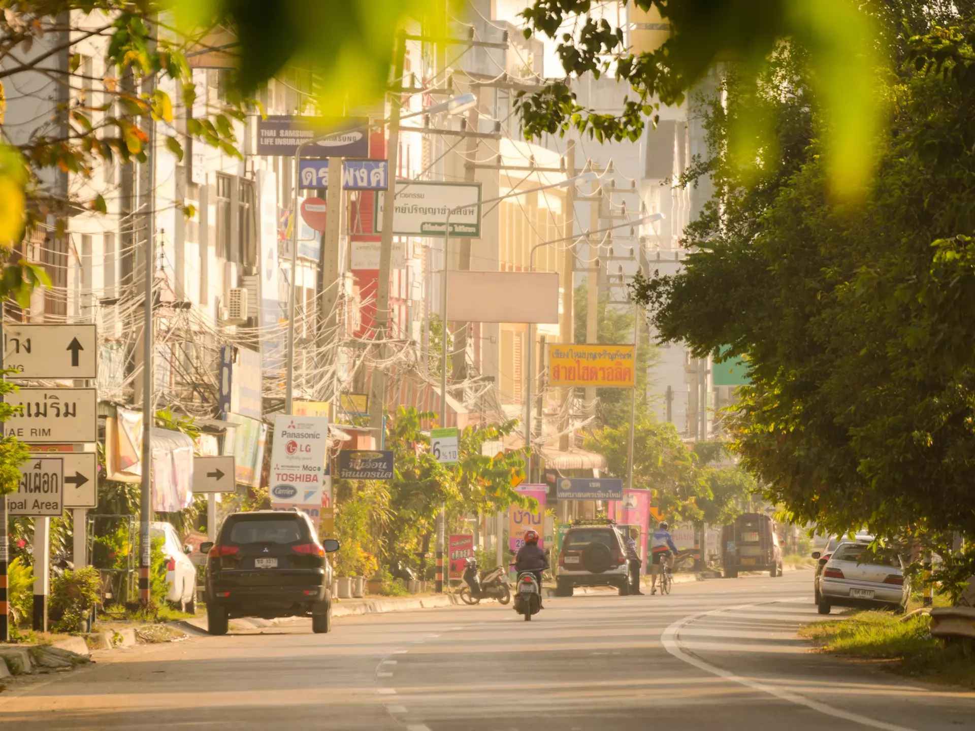Cars and a motorcycle drive down a peaceful street lined with signs and bathed in sunlight
