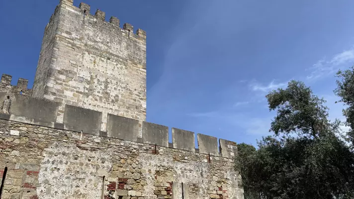 Chamidae in Lisbon: Castelo de São Jorge