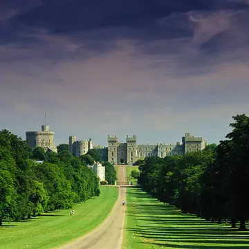 The Long Walk, the tree-lined path leading to Windsor Castle in England