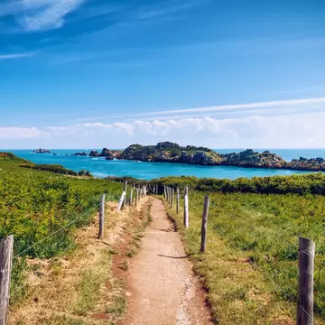 Dirt path between wire fences crossing a green headland towards a rocky island in turquoise sea.