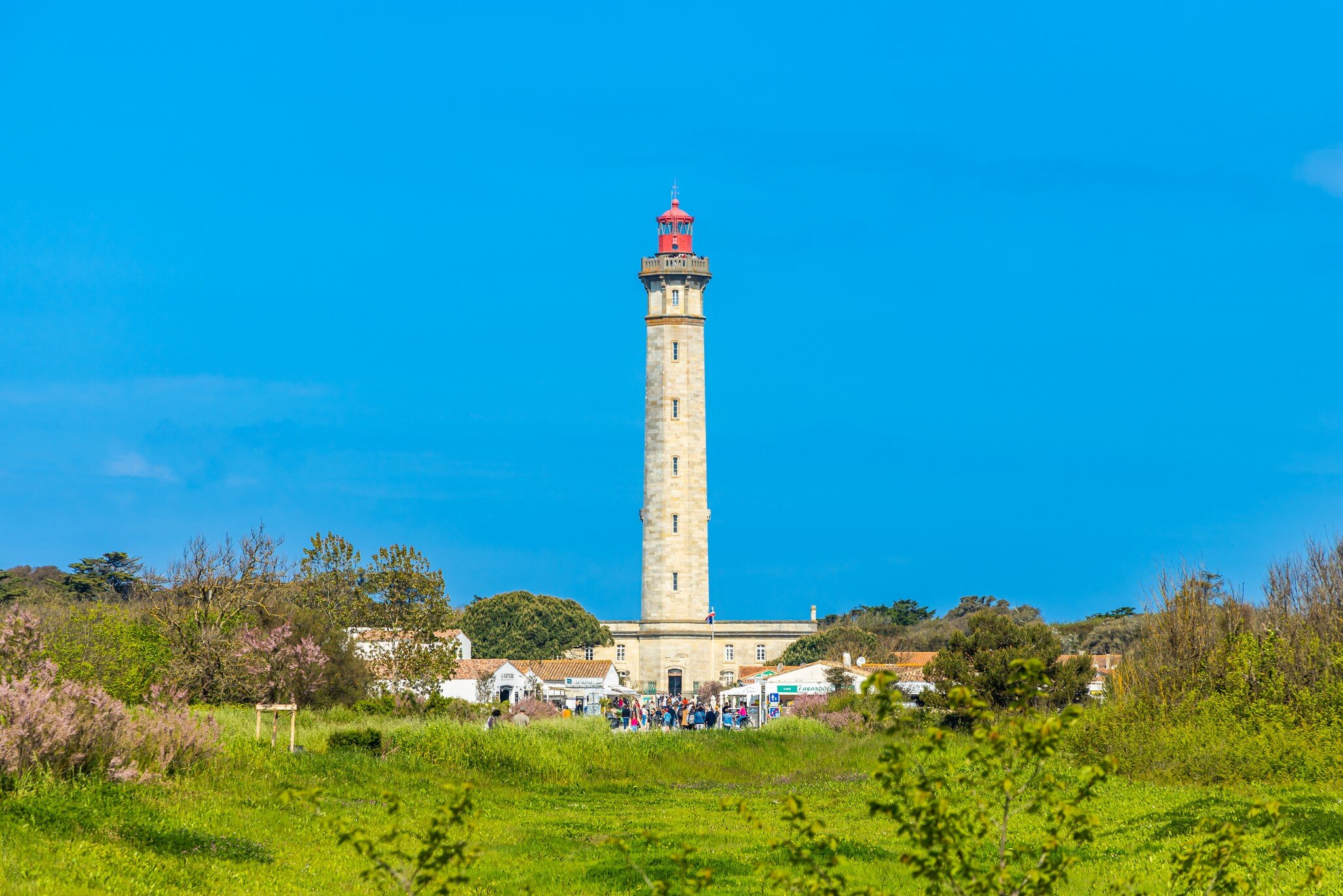 Green field and Phare des Baleines lighthouse in Saint-Clément-des-Baleines, France