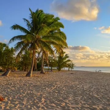 Beautiful Beach of Uoleva Island, Ha'apai group, Tonga, License Type: media, Download Time: 2026-02-03T18:34:05.000Z, User: robinbarton170, Editorial: false, purchase_order: 56500 - T&R or Kids, job: Global Publishing-WIP, client: The Travel Book 5, other: Robin Barton
