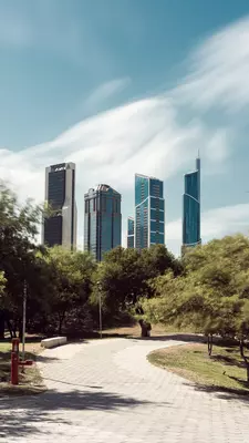 Cement brick path lined with green trees and tall skyscrapers in the background
