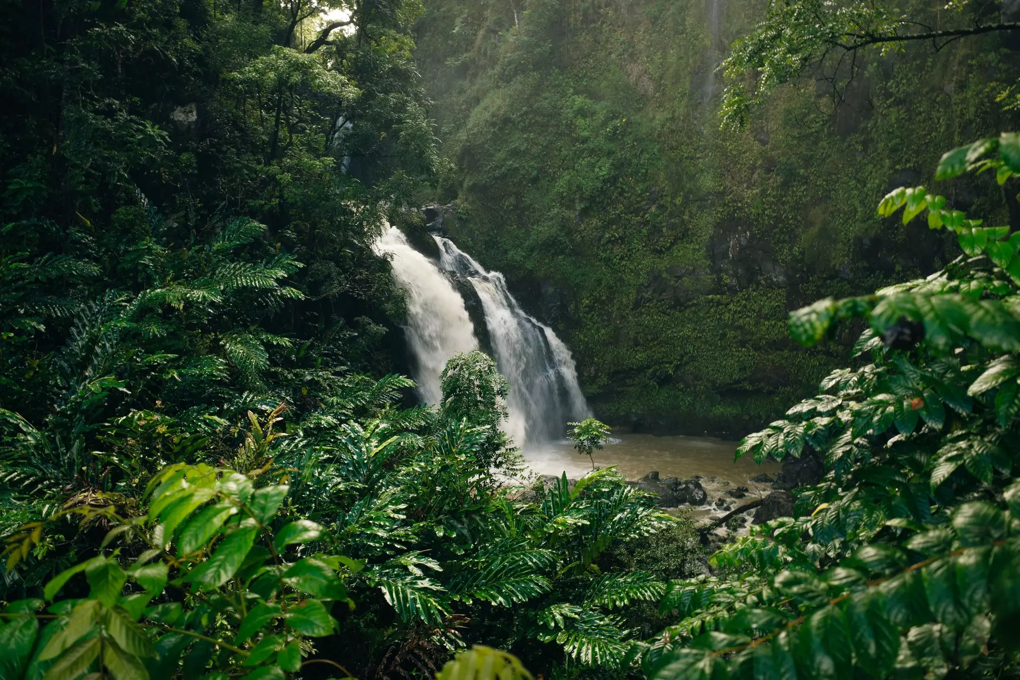 Waterfall on the road to Hana, Maui, Hawai'i