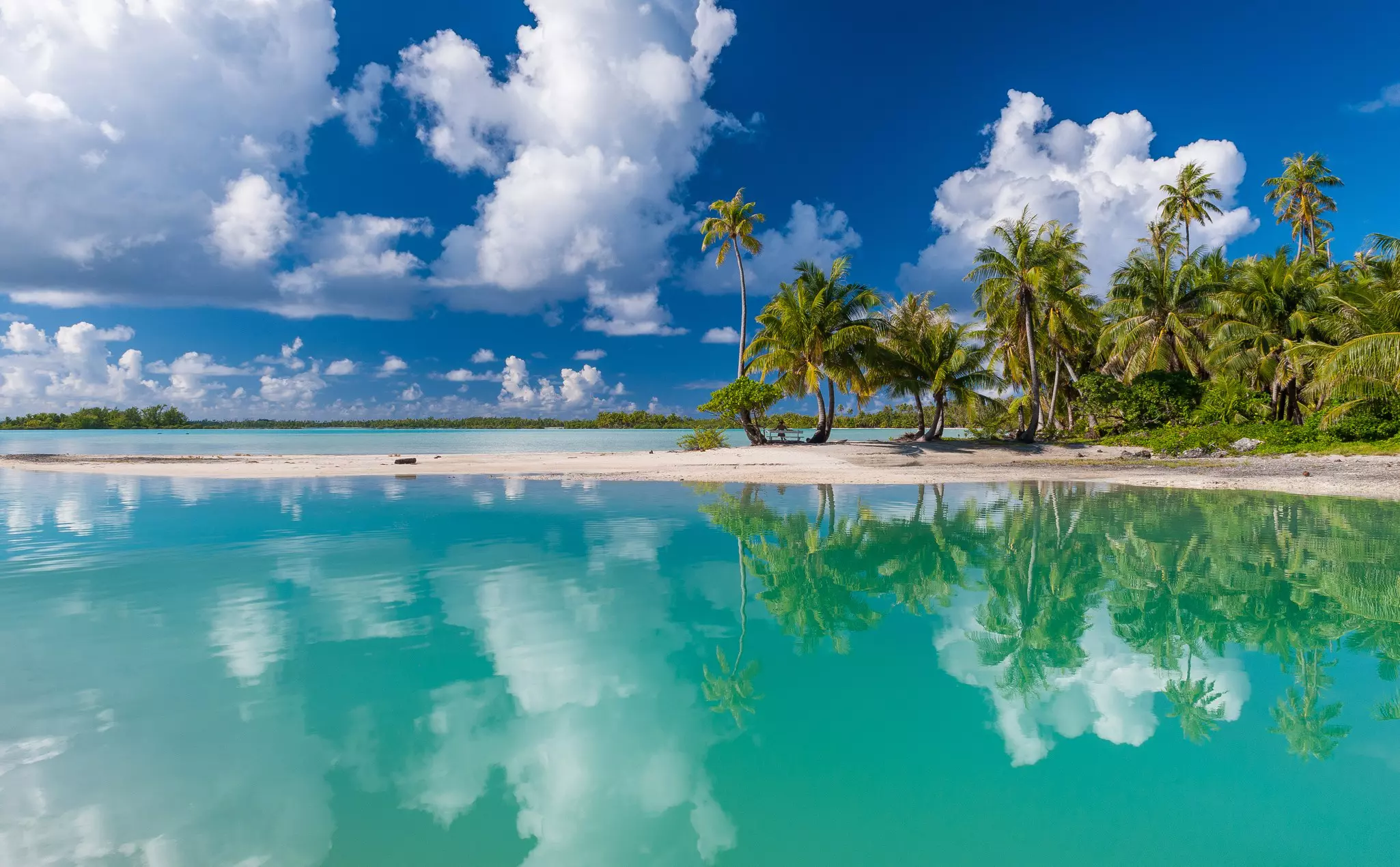 Palm trees reflected in a lagoon with a white-sand spit