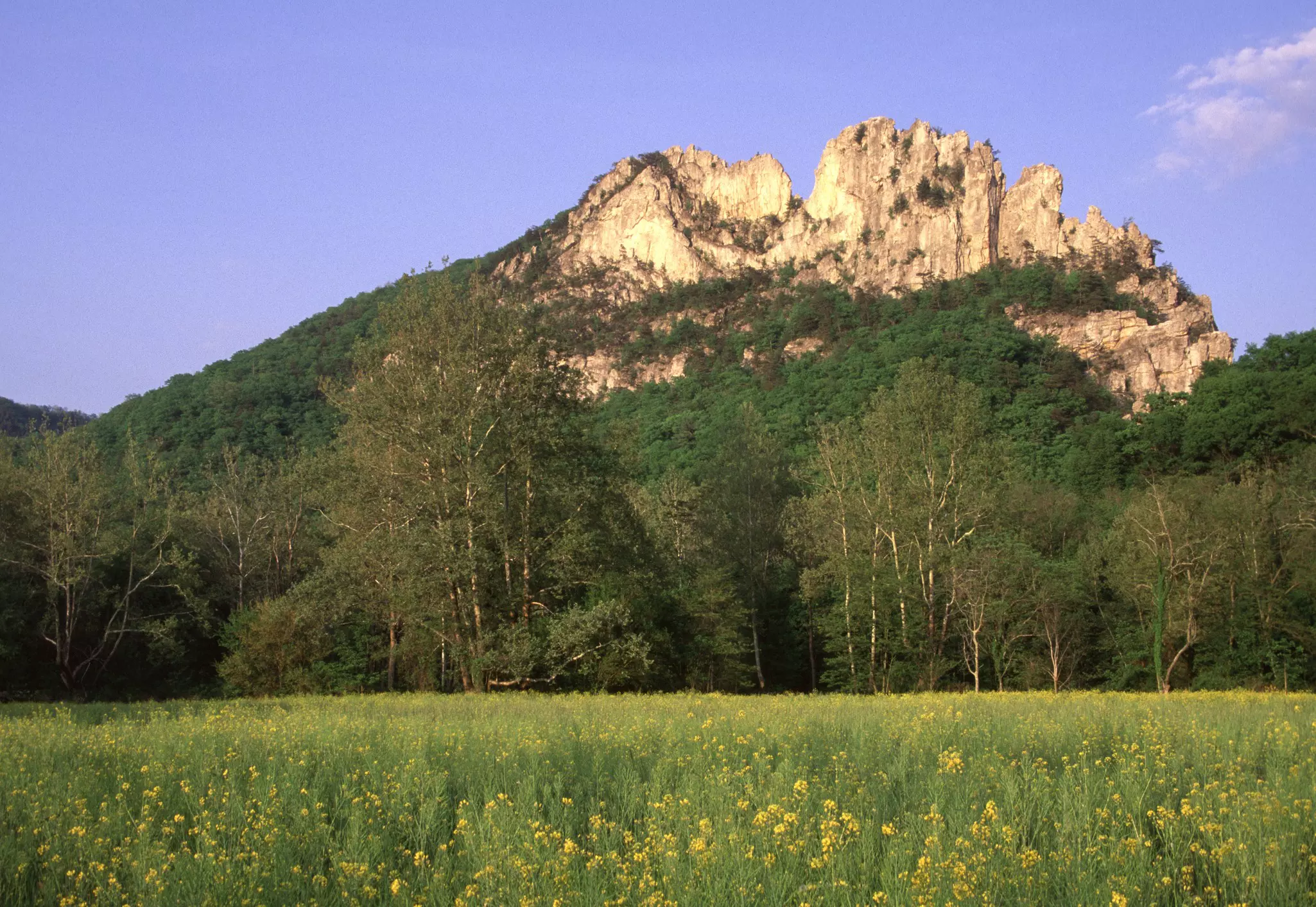 Seneca Rocks West Virginia