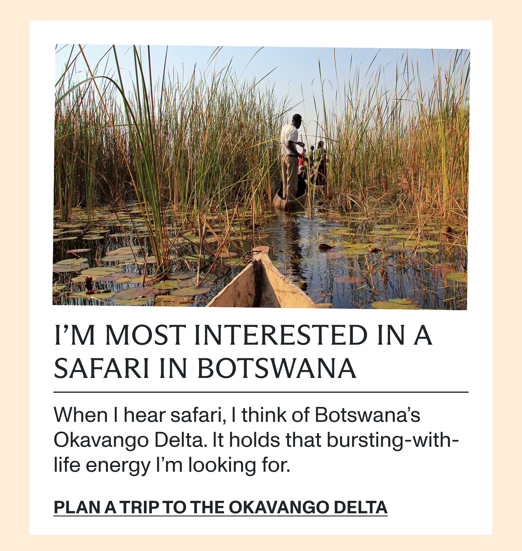 Plan a trip to the Okavango Delta