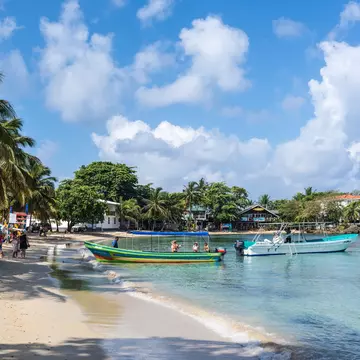 Isla de Roatan, Honduras - April 16, 2024: Half Moon Bay beach with a dock and boats on Roatan Island, Honduras., License Type: media, Download Time: 2026-06-06T21:03:45.000Z, User: Malecia.Elamin_Lonelyplanet, Editorial: true, purchase_order: 65050 - Digital Destinations and Articles, job: Online Editorial, client: Best beaches in Honduras, other: Malecia Walker