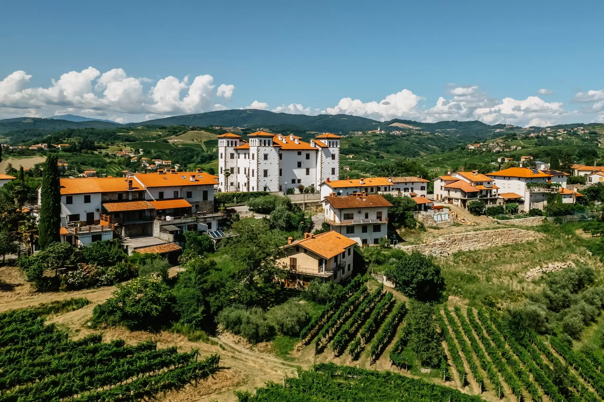 A lush green vineyard around numerous white stone buildings with orange roofs.