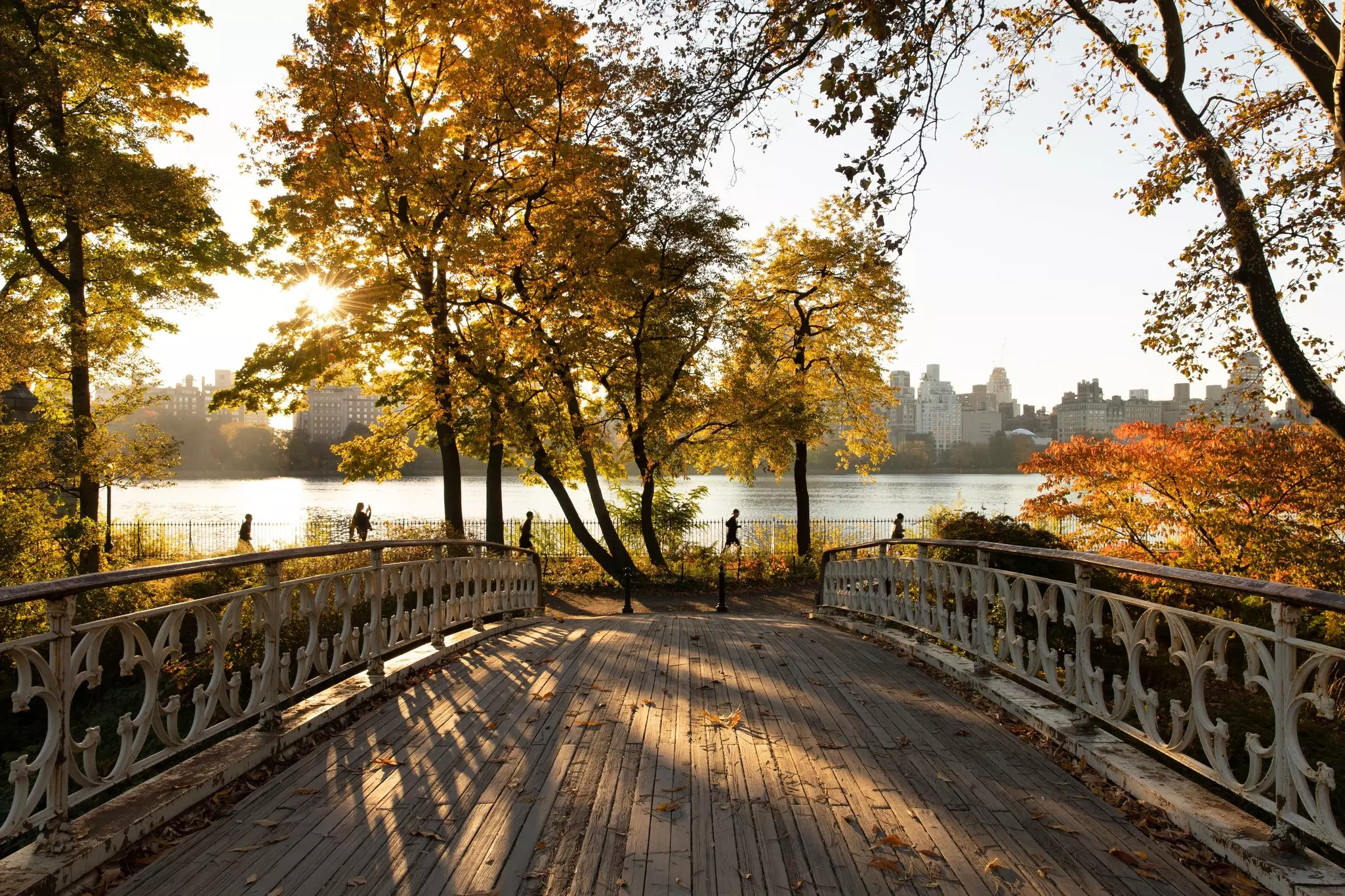 Autumn scenery over the bridge in Central Park