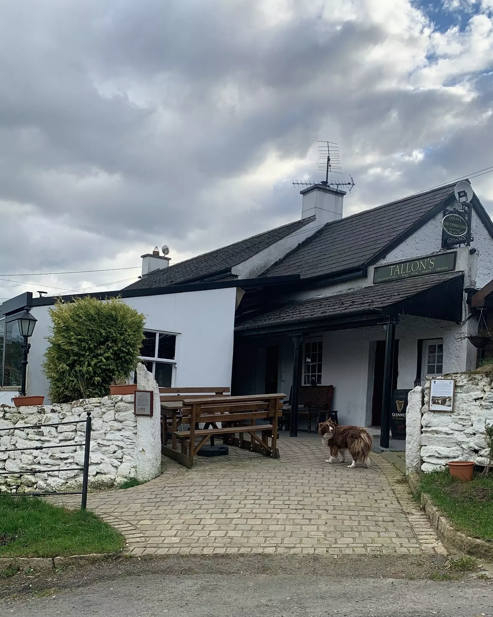 Exterior of The Dying Cow in County Wicklow, Ireland