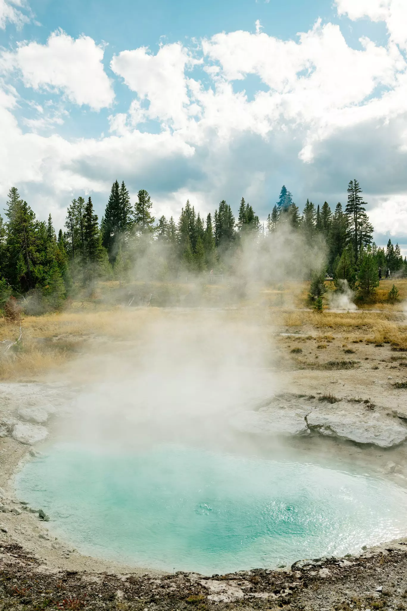 West Thumb Geyser Basin in Yellowstone National Park, Wyoming. September 2025.