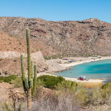 Santispac beach on the Baja peninsula, Mexico with a cactus in the foreground and cars on the beach in the centre.