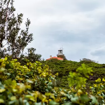Looking up towards the Barrenjoey Lighthouse in Sydney, Australia.