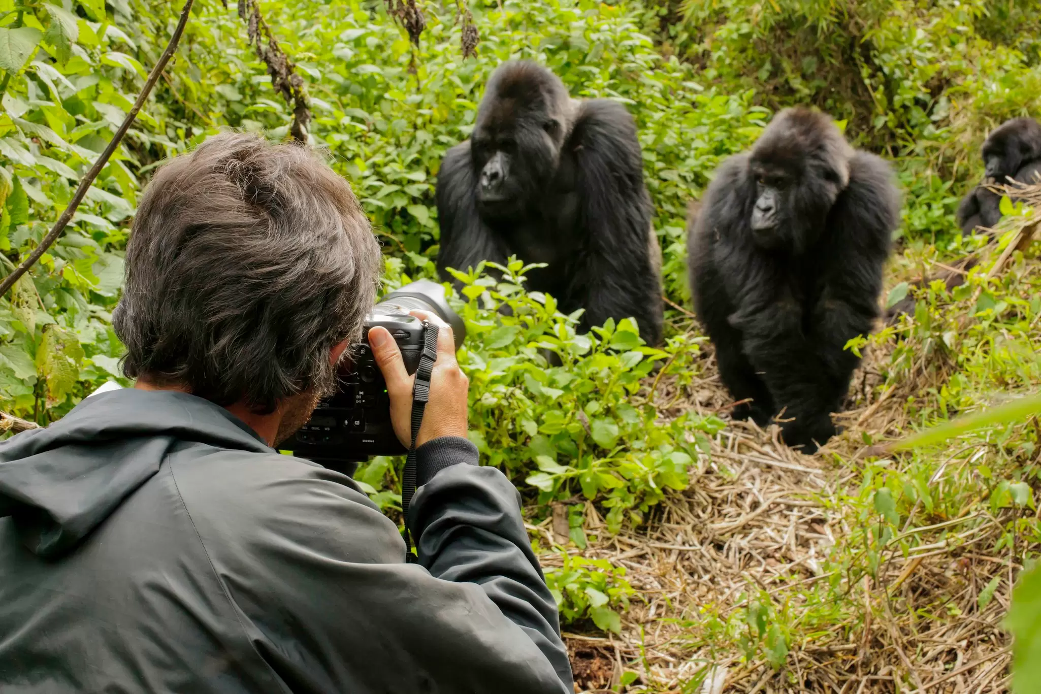 A traveler photographing a scenic landscape