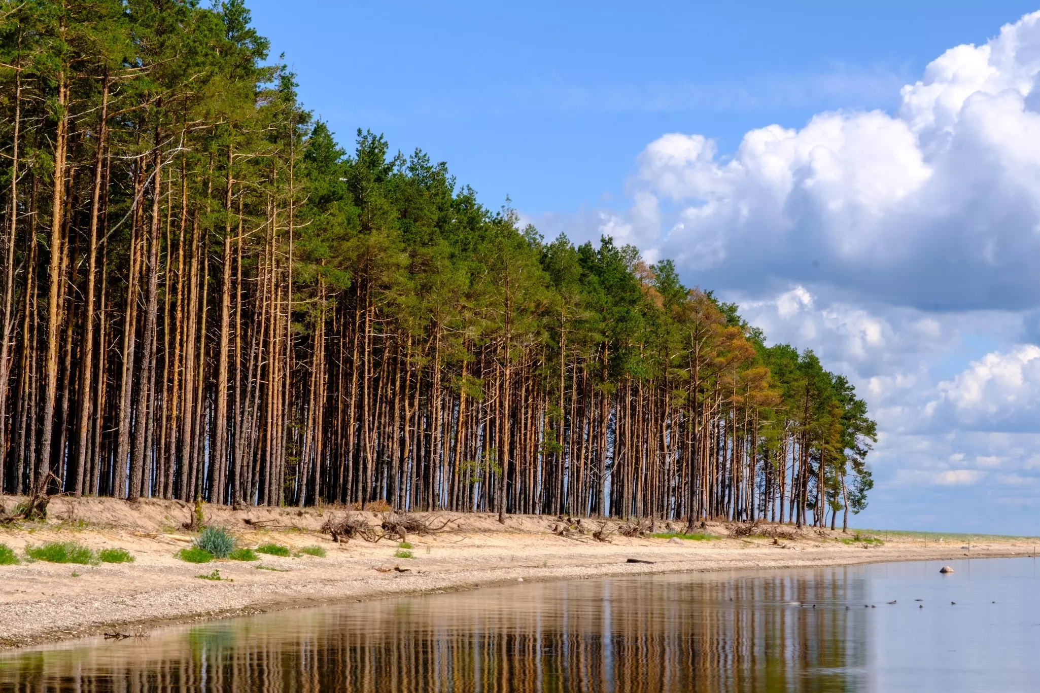 A beautiful beach in Estonia, Kihnu island.