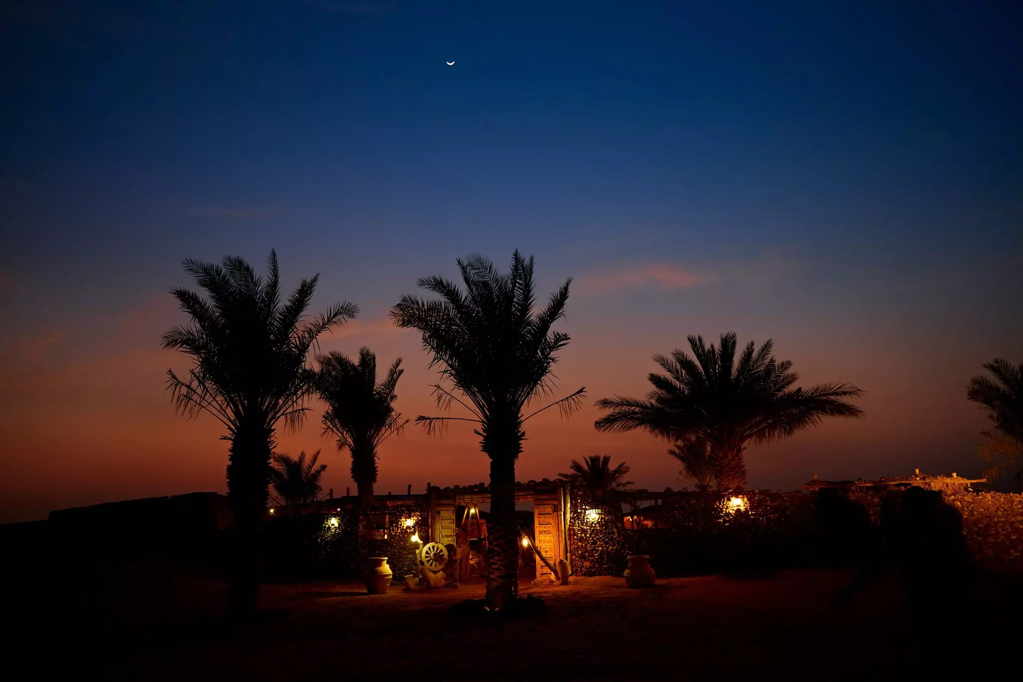 Palm trees in the desert in silhouette as the sunset casts an orange glow across the sky above a Bedouin camp
