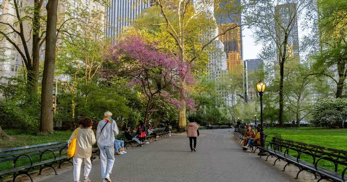 15 of the best things to do in New York City in 2026 - Lonely Planet