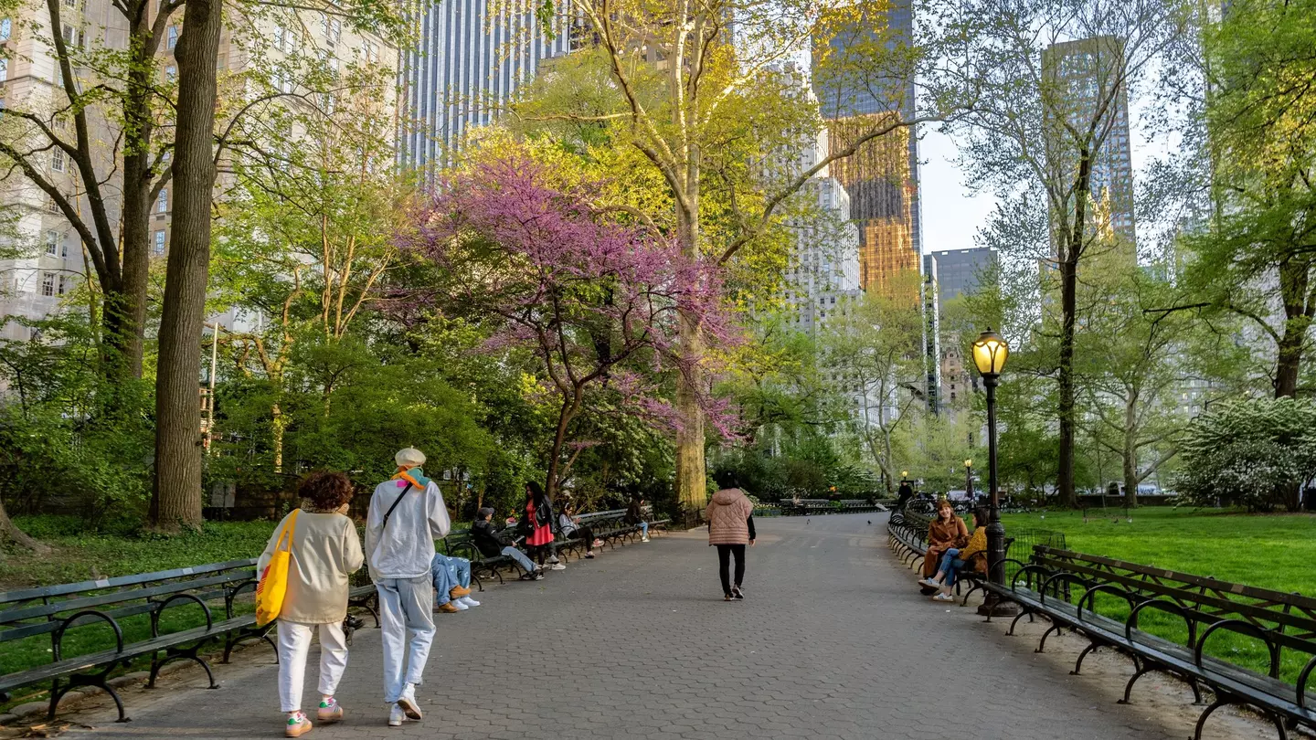 People walking in Central Park, New York City, USA.