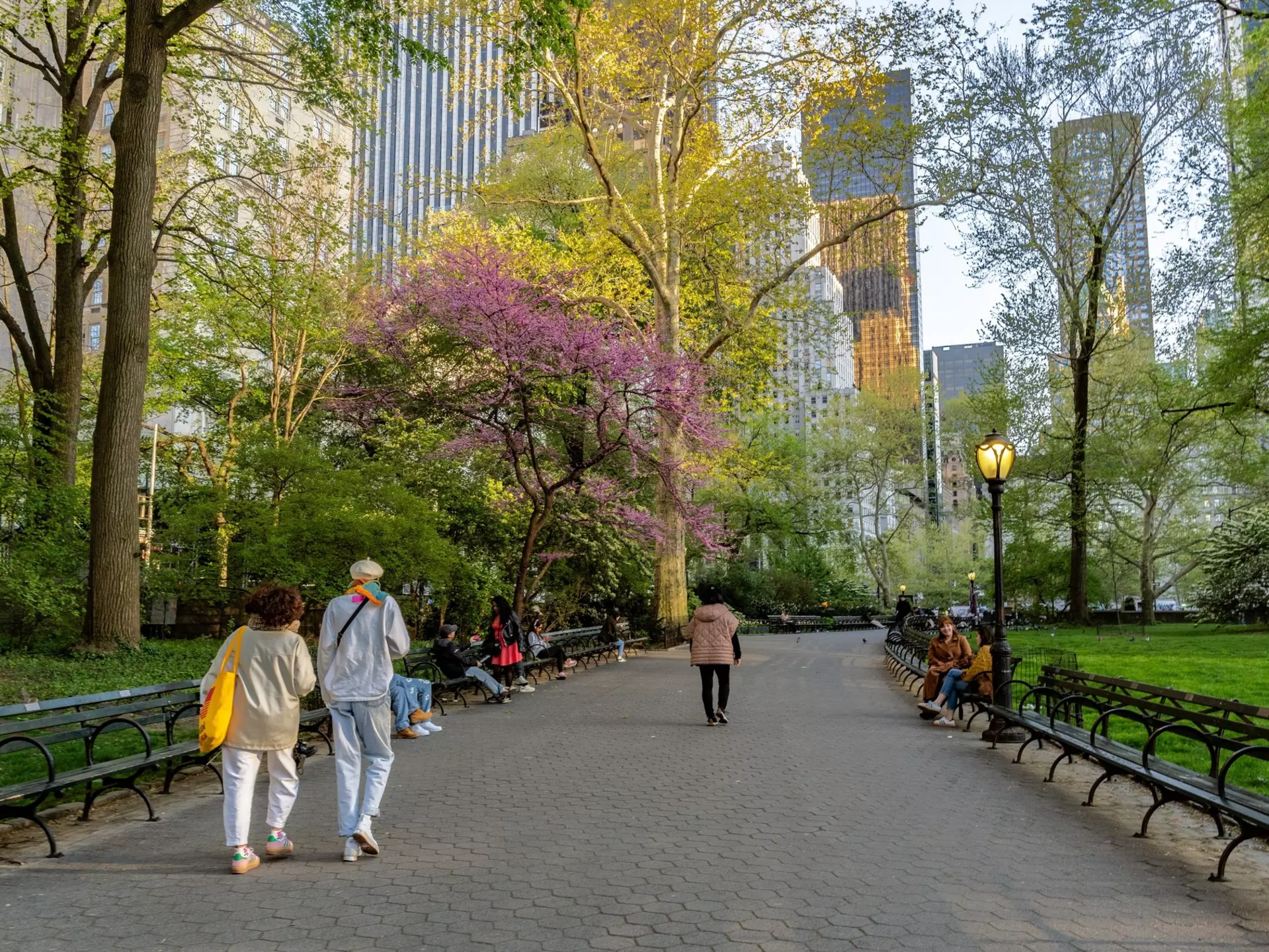 People walking in Central Park, New York City, USA.