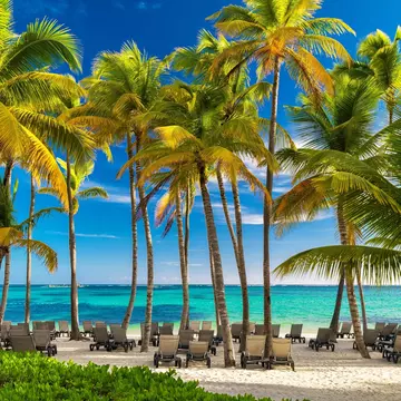 Empty lounge chairs on sand under palm trees by blue water.