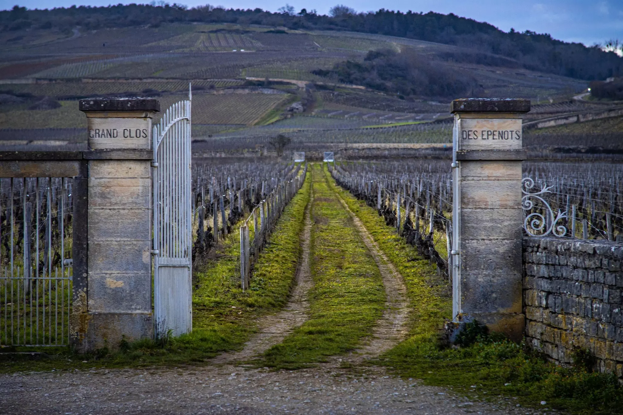 A gate with stone pillars opening onto a vineyard is pictured in winter.