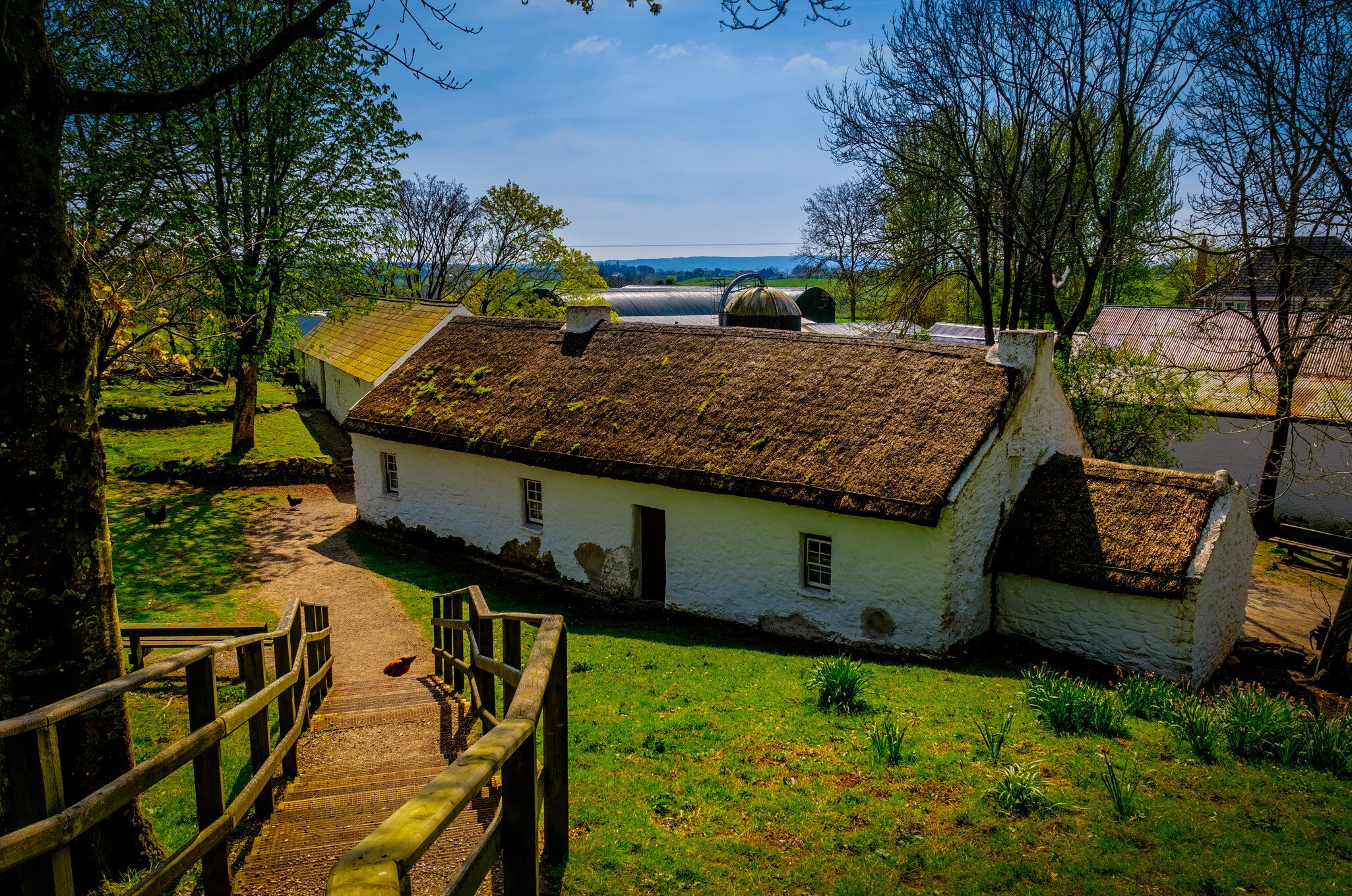 Whitewashed thatched-roof cottage with a green lawn at a rural heritage farm