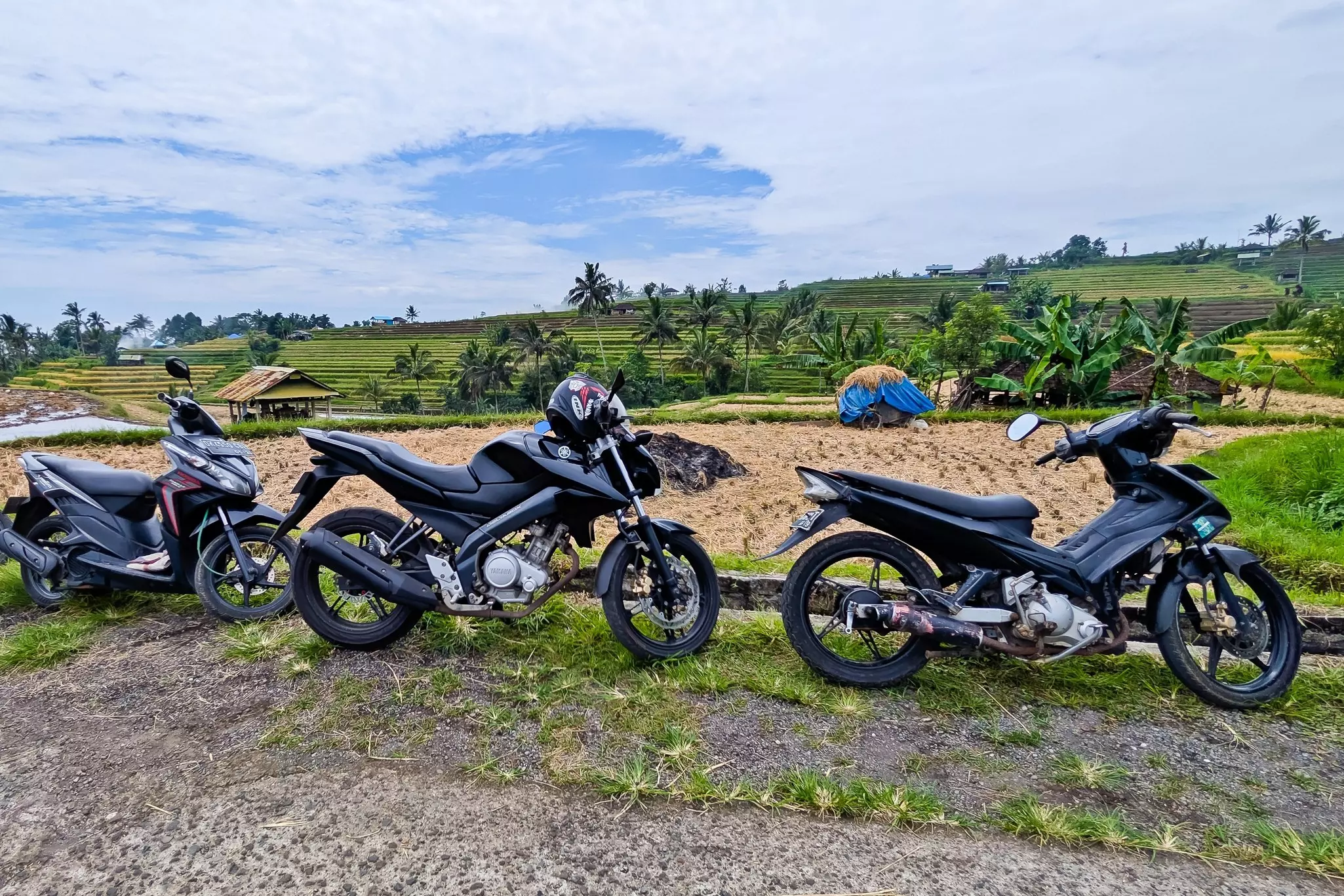 Three motorcycles parked at the side of a road near a rice field.