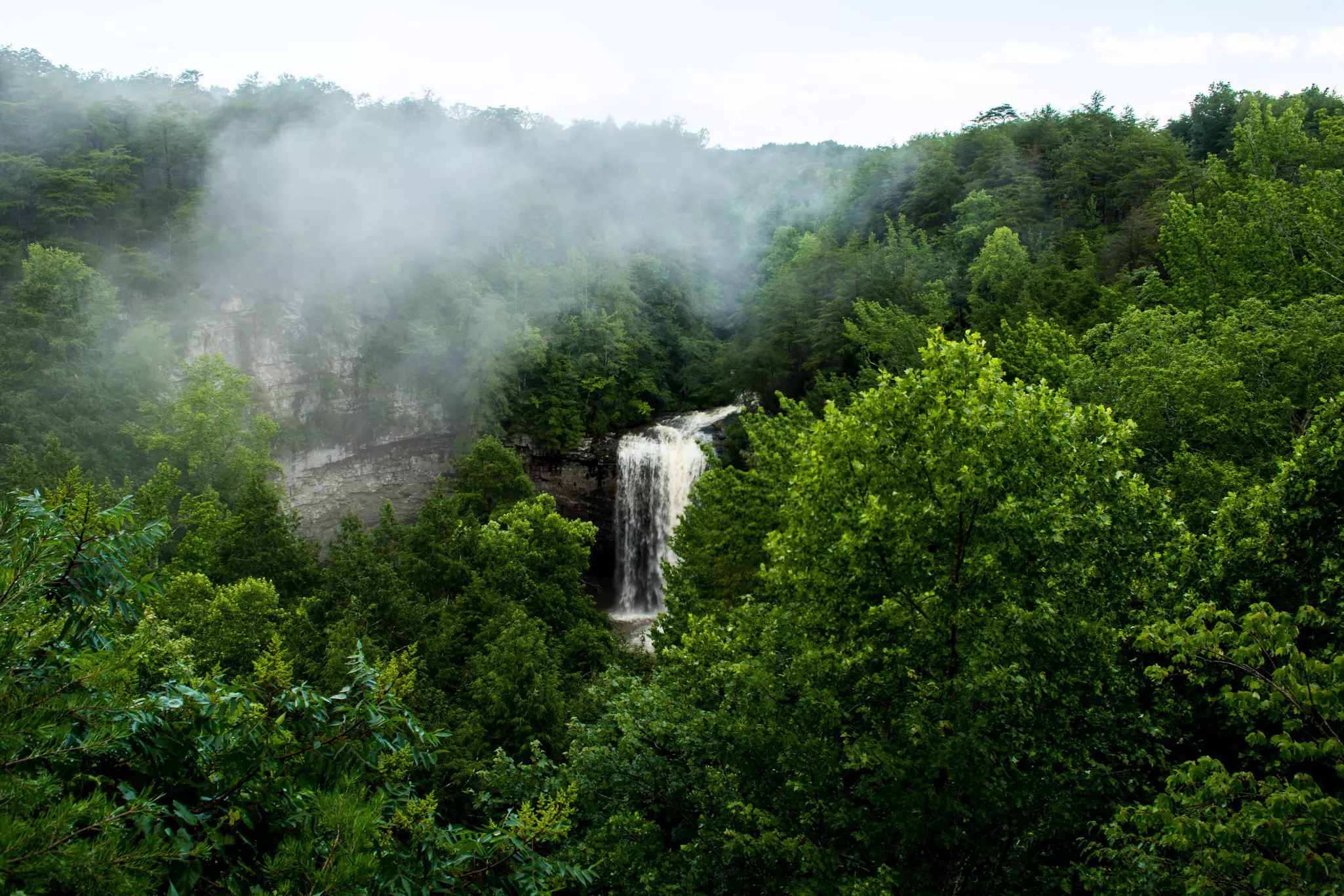 Foster Falls amidst the greenery of the park near Chattanooga