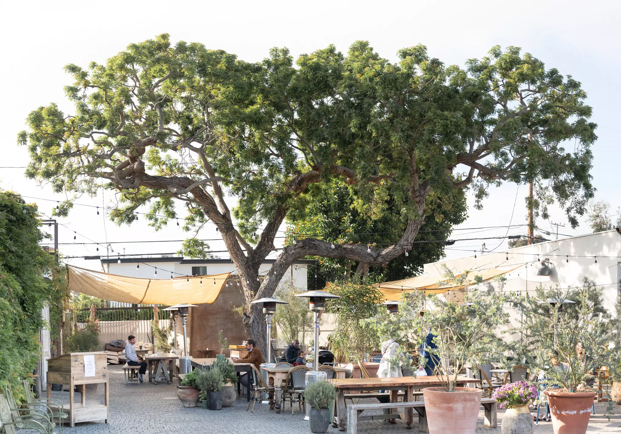 Gjusta, quintessential brunches in LA