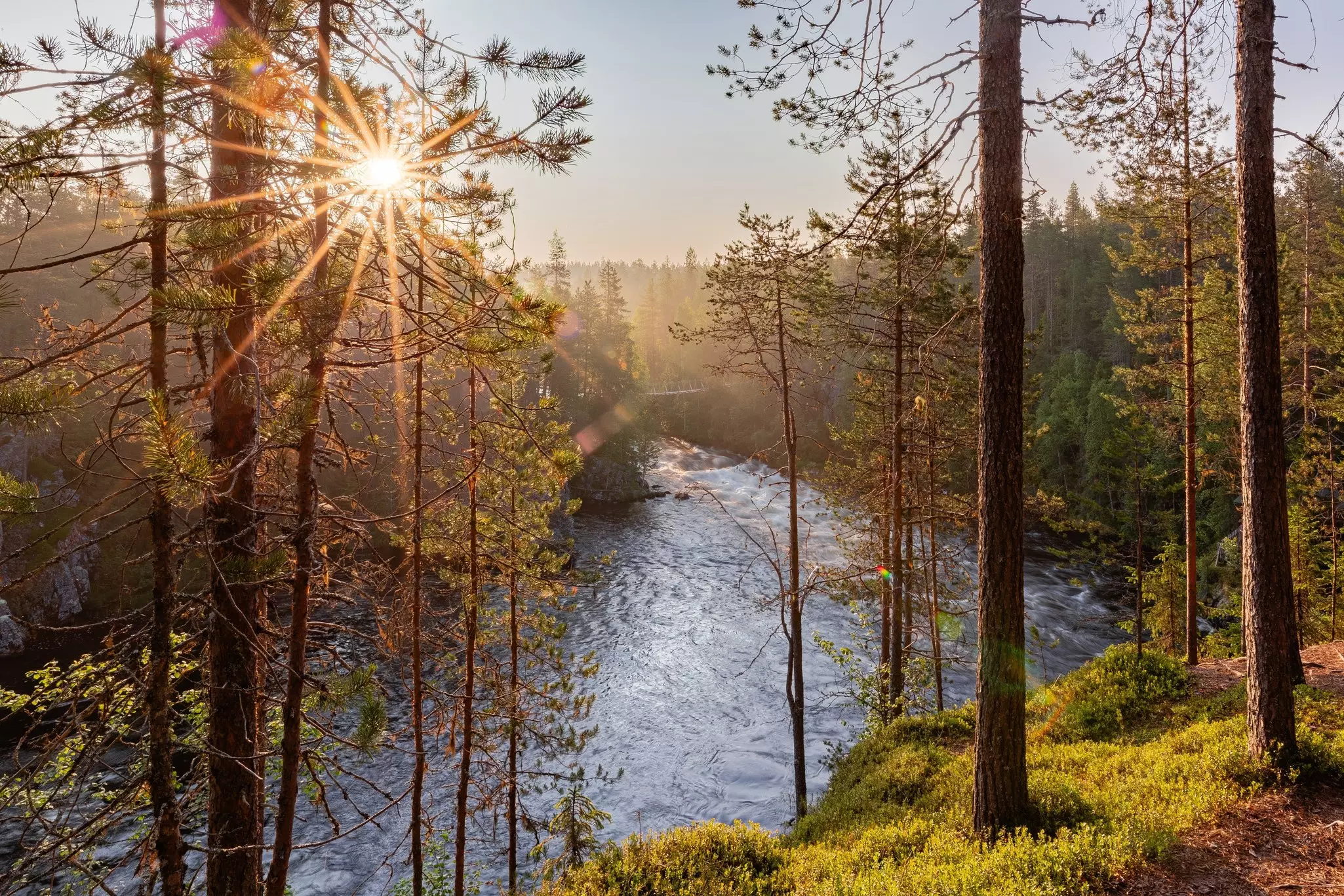 Beautiful summer landscape. Oulanka National Park, Finland, License Type: media, Download Time: 2025-08-29T17:59:18.000Z, User: bhealy950, Editorial: false, purchase_order: 65050 - Digital Destinations and Articles, job: Lonely Planet Online Editorial, client: Guide to the Oulanka National Park, other: Brian Healy