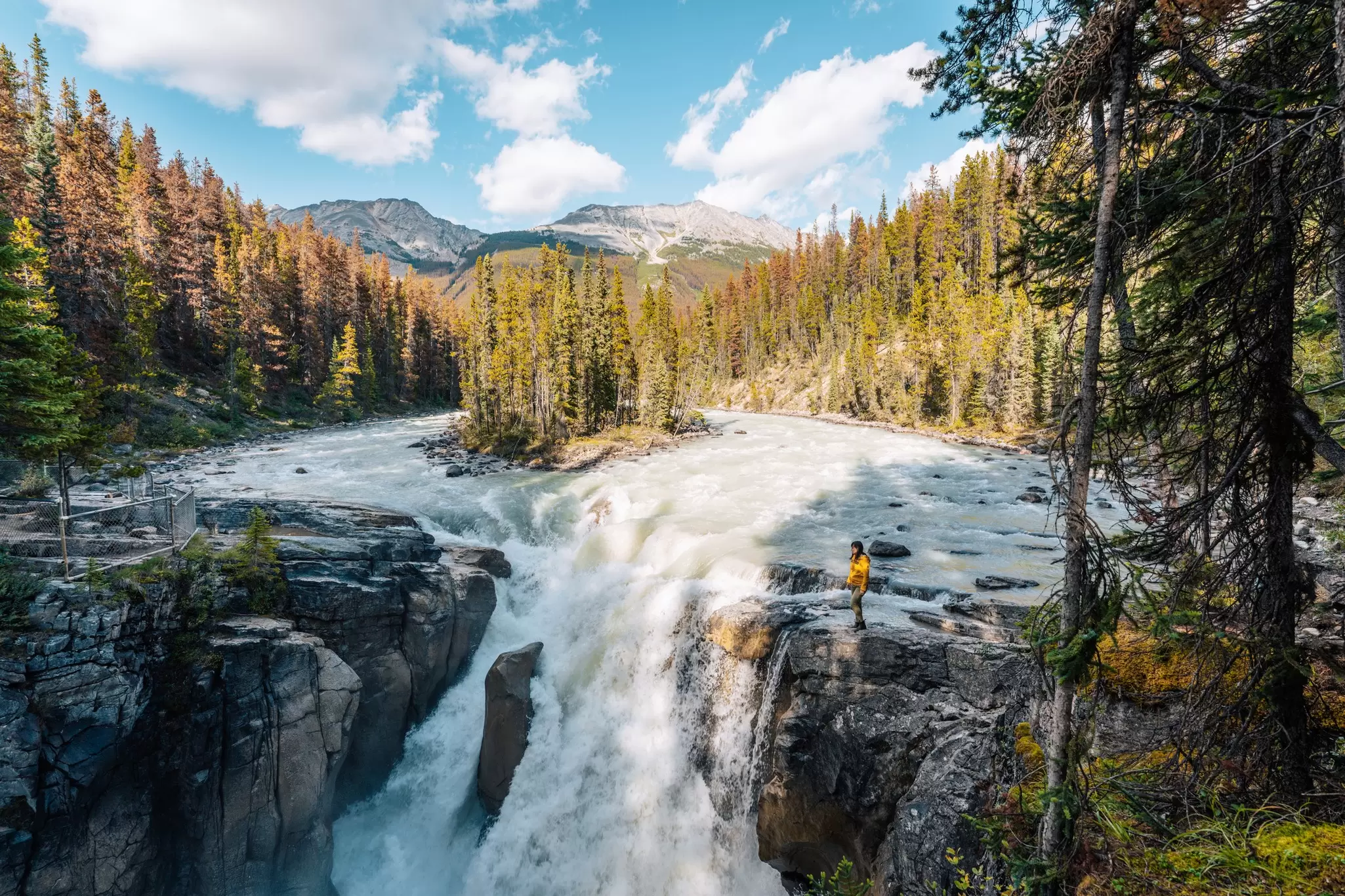 The majesty of Sunwapta Falls is worth a stop along the Icefields Parkway © Francesco Riccardo Iacomino / Getty Images