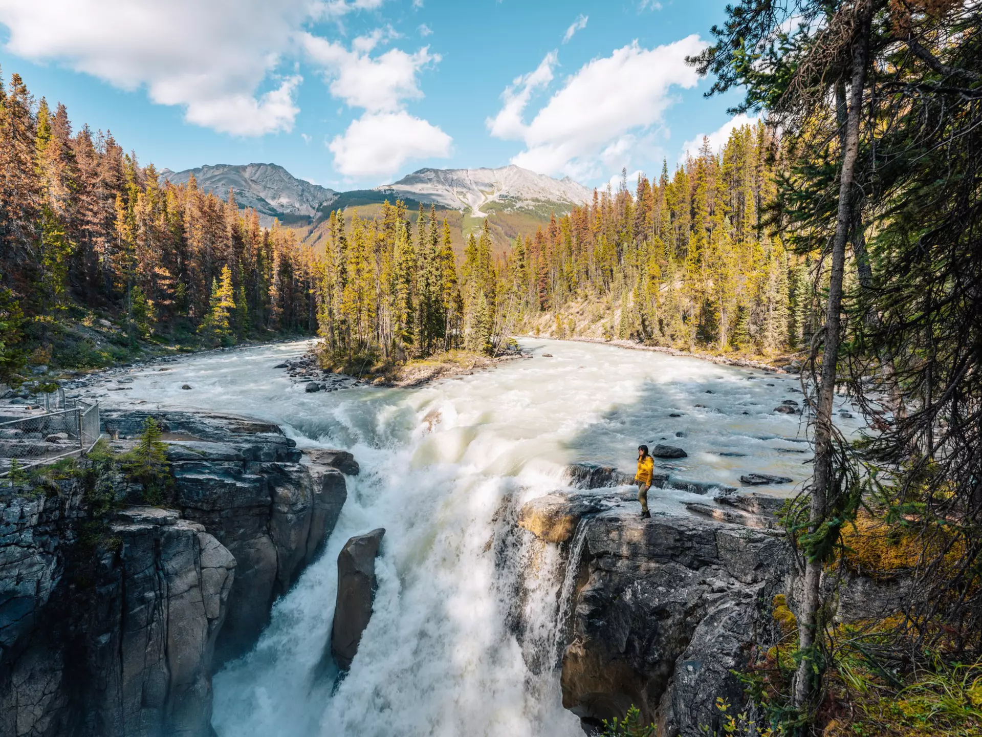 The majesty of Sunwapta Falls is worth a stop along the Icefields Parkway © Francesco Riccardo Iacomino / Getty Images
