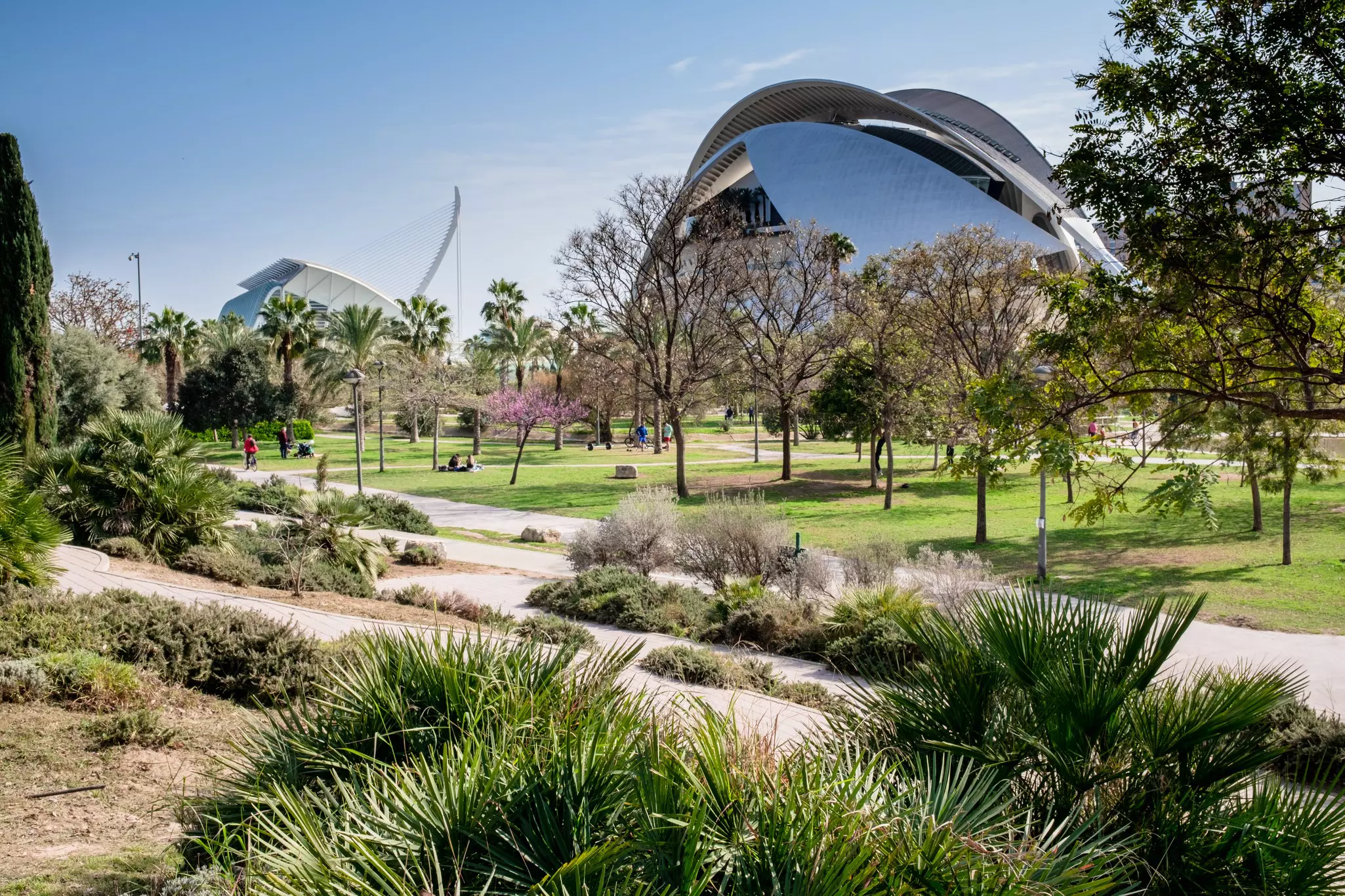 A former river bed, now Turia Gardens, this is the perfect spot for a safe leisurely cycle © Riccardo Cirillo / Shutterstock