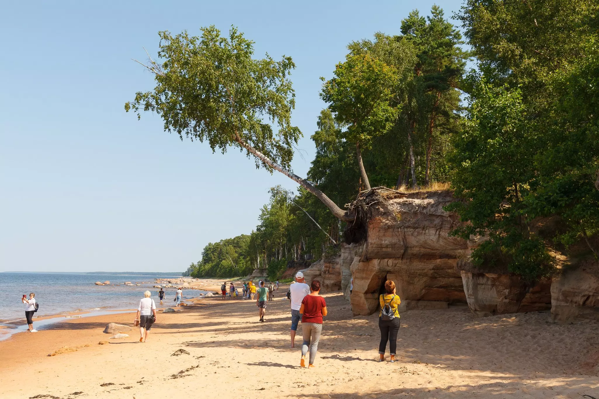 People pause on a beach to admire and photograph distinctive red sandstone cliffs with trees growing out the top and overhanging the beach.