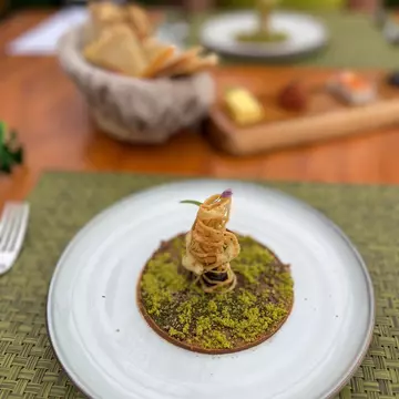A plate of food at the famous San Lucas Treetop Dining Experience, Costa Rica.