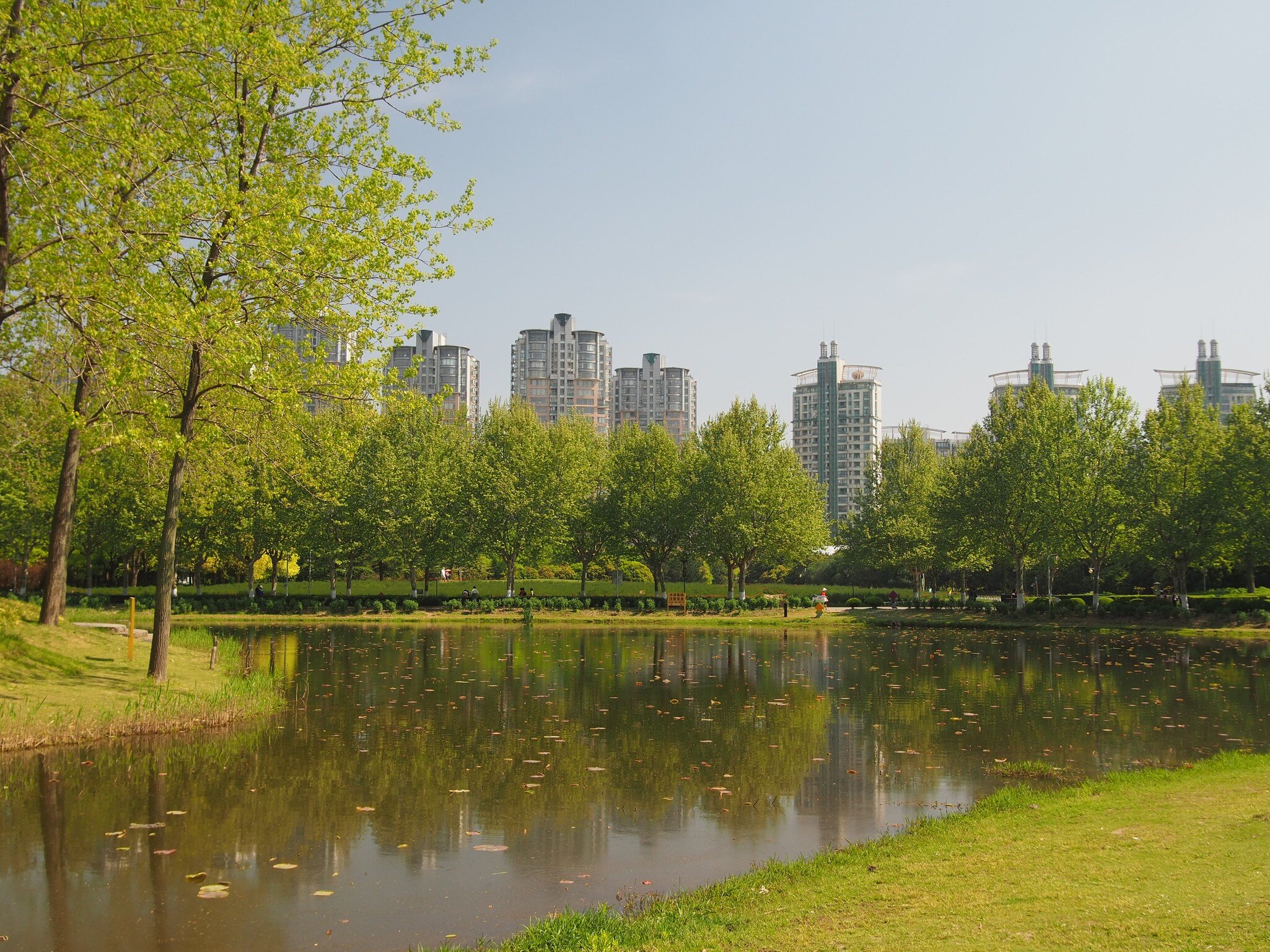 Shanghai/ China - 18th April 2019: A view across Mirror Lake with trees reflected in the water and tall apartment buildings in the background in Century Park, Shanghai's largest park on a summer day, License Type: media, Download Time: 2026-08-25T15:28:50.000Z, User: LP_NZhan, Editorial: true, purchase_order: 65050 - Digital Destinations and Articles, job: Nadine Zhan, client: Lonely Planet App, other: Nadine Zhan 